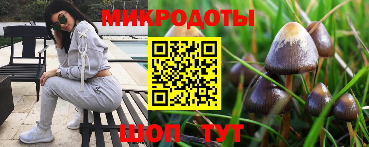 где найти   Галлюциногенные грибы мухоморы  Вход с VPN  Псилоцибиновые грибы ЛСД  Трёхгорный 